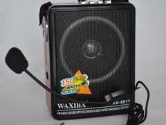 Radio MP3 portabil Waxiba XB-9911